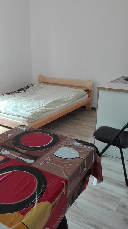 Pokoje Typu Studio Sosnowiec Esterno foto